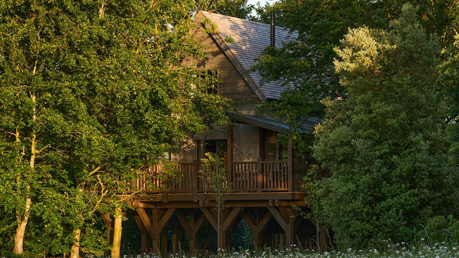 Luxury Treehouses with woodland views and private saunas